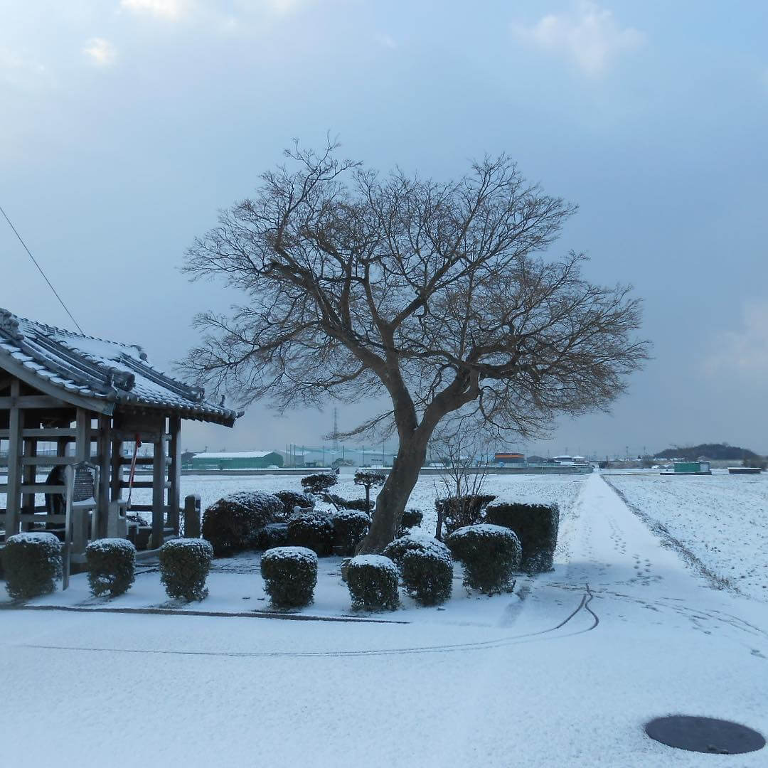 油掛地蔵